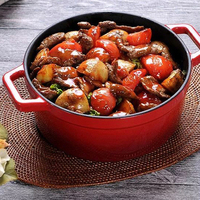 Casserole en fonte de forme ronde minimaliste en gros, revêtement émaillé coloré, écologique, avec couvercle