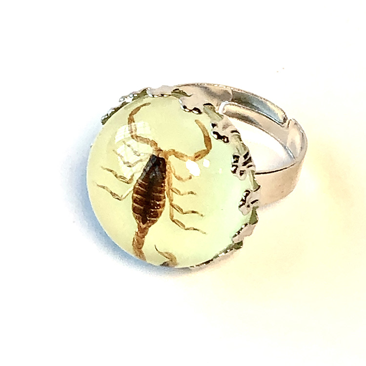 Yellow scorpion glow in the dark