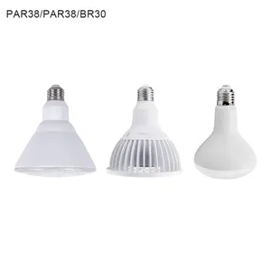 2023 mode mignon beau blanc 56*130mm 125*135mm 10W 18W 30W ampoules LED en option BR30 PAR38 pour la culture de plantes d'intérieur