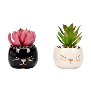 Vaso di fiori in ceramica, Mini vaso di cartoni animati per gatti, decorazione per interni succulenta, commercio all'ingrosso (pianta non inclusa) - Product Image 1
