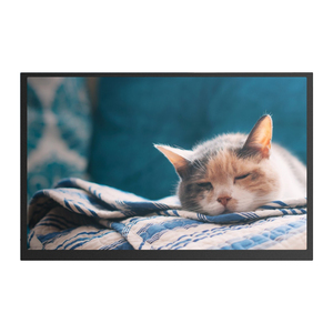 Genuine BOE DV185WHM-NM1 1366×768 250nits Full View Angle Industrial Monitor LCD Module - Product Image 4