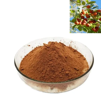 Poudre d'extrait de datte rouge sèche de qualité alimentaire chinoise Nutrtech avec extrait de myrtille, vitamine active, extrait par solvant, emballage en fût