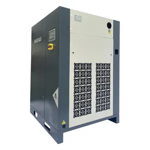CAC10A-175A compressore d'aria rotativo a vite industriale resistente 380V/220V/415V