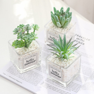 QSLHC821 Commercio All'ingrosso <span class=keywords><strong>Mini</strong></span> Artificiale di Plastica <span class=keywords><strong>Piante</strong></span> Succulente con vaso di Vetro - Product Image 3