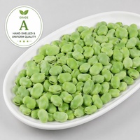 Haricots écaillés surgelés IQF Halal de qualité supérieure en gros |   Graines de fèves 100% naturelles et fraîches pour des repas sains et prêts à consommer