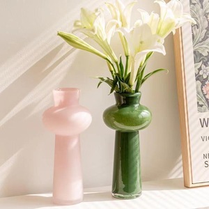 Vaso in Vetro Creativo Nordico di Alta Qualità per Soggiorno, Vaso da Tavolo per Fiori in Acqua - Product Image 2
