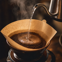 Filtres à café en papier coniques non toxiques, blanchis/blancs naturels, taille standard, pour 2 à 4 personnes, pour la préparation quotidienne du café à la maison.
