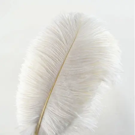 Wedding Table Centerpieces 15-20cm 20-25cm Real Natural Ostrich Feathers