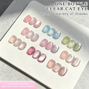Vernis Gel Magnétique Hema Free Effet Œil de Chat Transparent Paillettes Argentées UV pour Salon et DIY, Gel Effet Œil de Chat Perles de Verre, Logo Personnalisé - Product Image 5