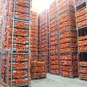 Hành Tươi Màu Vàng Đỏ Chế Biến Thực Phẩm Cao Cấp Hữu Cơ Trung Quốc Nhà Cung Cấp Giá Rẻ Giá - Product Image 5