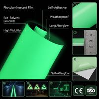 YEEMAX PET/PVC Lámina Rígida Fotoluminiscente Amarillo-Verde, Imprimible, Autoadhesiva, Irrompible, para Señalización de Salidas de Emergencia