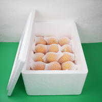 Machines de moulage de forme de boîte de mousse EPS automatique sous vide Longwell en Chine