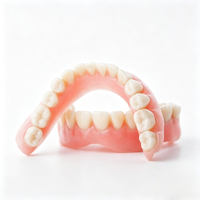 Service d'externalisation de traitement numérique de prothèses complètes en acrylique flexible sur mesure, prothèses amovibles complètes pour cliniques dentaires et laboratoires