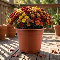 Pot de fleurs moderne en plastique pour jardin, pots de pépinière en plastique pour la maison et pot de jardin rond, vente en gros