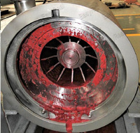 Machine Om Fruit Pasta Productielijn Fabriek Datum Pasta Maken Apparatuur