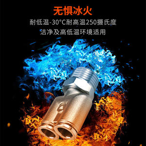 Conector Rápido de Acero Inoxidable 304 PB8-02, Alta Temperatura, Alta Presión, Aire, Neumático, Herramientas Neumáticas, Accesorios, Piezas - Product Image 2