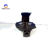 Régulateur de pression de gaz liquéfié pour cuisine domestique de grande taille, série Rego LV3403B4