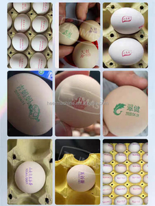 Alibaba China <strong>Supplier</strong> <strong>Egg</strong> <strong>Code</strong> Printing Machine/inkjet <strong>Printer</strong> With Conveyor Belt - Product Image 5