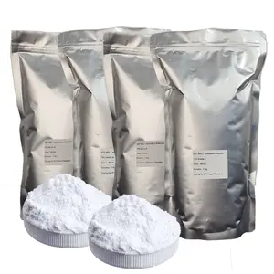 High Quality Adhesion Mlet Hot Glue 25kg DTF Anti Sublimation Powder 70 Micron DTF Powder Whiter For DTF L1800 Shaker Powder