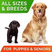 Suppléments nutritionnels probiotiques pour chiens OEM pour soulager les allergies, la diarrhée, les flatulences, la constipation et améliorer l'immunité du chien