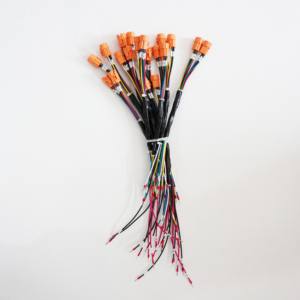 Arnés de Cables para Vehículos Eléctricos de Nueva Energía, Conector XT60 Hembra y Macho - Product Image 2