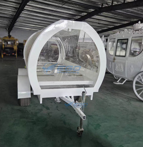 Lujosa Limusina Funeraria Blanca, Carro Fúnebre Eléctrico de Estilo Popular, Remolque Fúnebre en Venta - Product Image 6