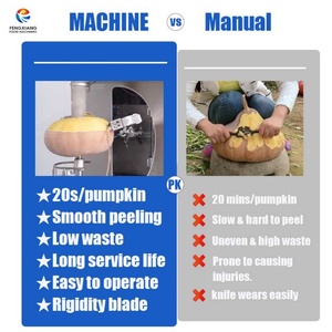 Machine à éplucher les citrouilles à peau épaisse en acier inoxydable pour ferme - Product Image 6