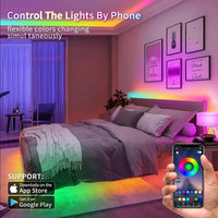 La bande lumineuse LED USB avec fonction RVB La bande lumineuse à diode flexible est utilisée pour la décoration de la chambre et de la maison