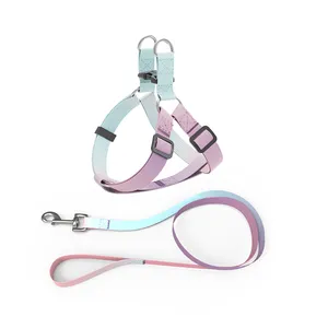 OEM/ODM tali kekang anjing dan kekang plastik personalisasi gesper dapat disesuaikan dan lembut Harness Set