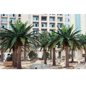 <span class=keywords><strong>Palmera</strong></span> Artificial de Alta Calidad con Hojas Realistas, Árbol Artificial para Restaurante, Hotel, Cafetería y <span class=keywords><strong>Bar</strong></span> - Product Image 5