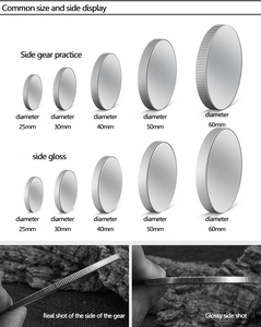 Moneta Commemorativa Premium in Lega di Zinco Smaltata con Design Corona Reale e Leone, Moneta d'Onore da Collezione, Fornitura Diretta dalla Fabbrica - Product Image 2