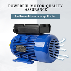 Motore Elettrico Asincrono Monofase JULANTE YL90L-2 220V per Ventilatore - Product Image 3