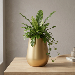 Pot de fleurs en métal doré pour plantes d'intérieur, pot de fleurs décoratif, pot rond moderne, conteneur pour plantes, décoration de table pour la maison, le jardin, le bureau - Product Image 6