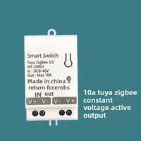 Interrupteur mural intelligent Wi-Fi à contact sec 10A/20A pour la maison, disjoncteur DC 8-40V AC 85-265V, compatible Alexa Google IP41