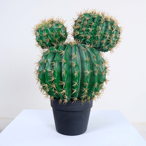 Plante artificielle en plastique, <span class=keywords><strong>cactus</strong></span>, plante paysagère, ornement de jardin pour la décoration intérieure, bureau, maison, plantes artificielles - Product Image 2