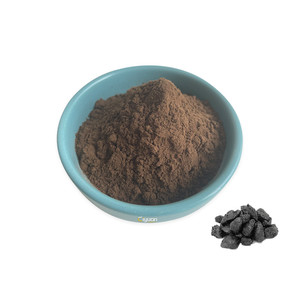 Ciyuan <span class=keywords><strong>Bio</strong></span> Fabrication Fournir <span class=keywords><strong>Shilajit</strong></span> Extrait Poudre Acide Fulvique 10% -60% - Product Image 1