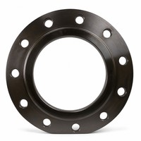 Bride à enfiler RF en acier inoxydable ASTM A182 F304 304L, classe 150 300 600, ASME B16.47, trempée, DN200 DN300 DN400 DN500