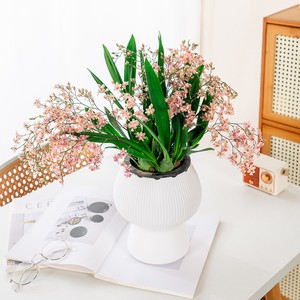 <span class=keywords><strong>Maceta</strong></span> de Plástico Engrosada con Absorción Automática de Agua, <span class=keywords><strong>Maceta</strong></span> Creativa para Escritorio - Product Image 3