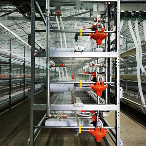 Equipo de cría de aves de corral equipo de aves de corral cría de pollos - Product Image 2