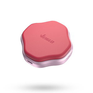 VEIGLO Factory Direct Sales Portable <strong>External</strong> Ssd Type C Compatible 512gb 1tb <strong>2tb</strong> <strong>External</strong> Ssd For Desktop Computer