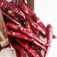 Vente en gros de piment rouge de Cayenne séché entier naturel pour la cuisson