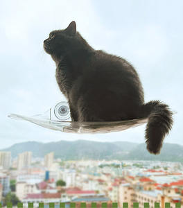 Cama de plástico para gatos que succiona el nido de un gato en una ventana Cama de gato transparente colgante con ventosa - Product Image 6