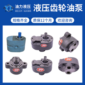ปั๊มน้ำมันเกียร์ไฮดรอลิก CB B4 B6 B10 B16 B20 B25 B32 B40 B50 B63 ชุดมอเตอร์ XCB - Product Image 2
