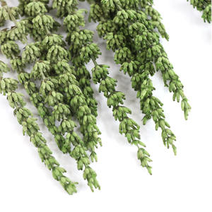 Venta caliente Flores secas reales <span class=keywords><strong>Lavanda</strong></span> <span class=keywords><strong>preservada</strong></span> Flor seca natural <span class=keywords><strong>lavanda</strong></span> para la decoración del hogar del baño - Product Image 2