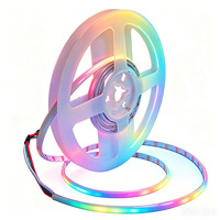 Tira de Luz LED RGB WS2812B Direccionable, Ultrafina de 5mm, Alimentada por USB, para PC Gaming, 5m, DC5V 12V