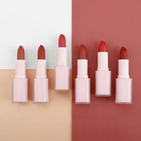 Marque Privée Rouge à Lèvres Rouge à Lèvres Mat de Luxe Vegan Waterproof Personnalisée
