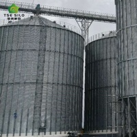 Büyük Ölçekli Düz Tabanlı Tahıl Depolama Silosu Oluklu Galvaniz Çelikten Tahıl Deposu ve Lojistik İçin 3000-20000 Ton