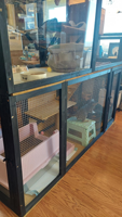 Enclos pour chat d'intérieur Catio sur roulettes, Catio pour chat à 2 niveaux de grande taille pour plusieurs chats, Cage pour chat en bois avec boîte de repos