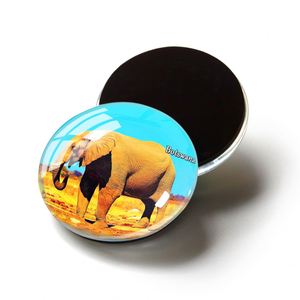 Custom Botswana Souvenirs Flag Three-Dimensional Fridge <b>Magnets</b> Wild Animal Photo Printing Round Square Glass <b>Magnet</b> - Product Image 3