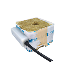 Capteur d'humidité, de température et d'EC du sol OEM Professional RS485 SDI-12 3 en 1 avec Wifi 4G pour substrat en fibre de coco/paille et laine de roche